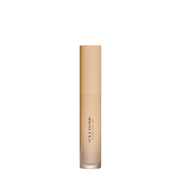 DIEGO DALLA PALMA IT'S A FILTER! Smoothing Perfecting Concealer Maskuojamoji priemonė