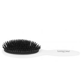 Hair brush