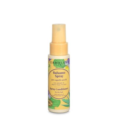 Hair conditioner spray