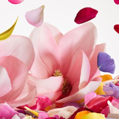 DOLCE & GABBANA Dolce Magnolia Purškiamas kvapusis vanduo