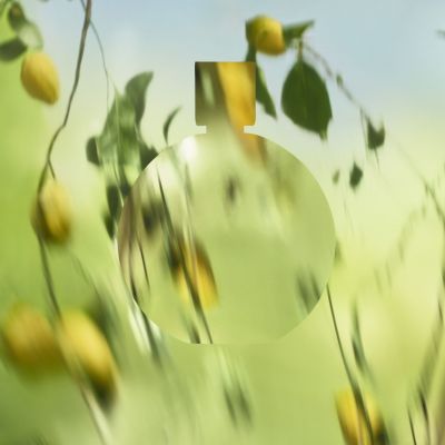 CHANEL Chance Eau FraÎche Purškiamas kvapusis vanduo