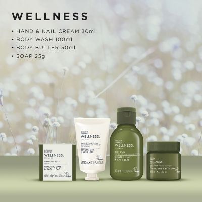 BAYLIS & HARDING Wellness Tin Of Treats Gift Set Kūno priežiūros rinkinys