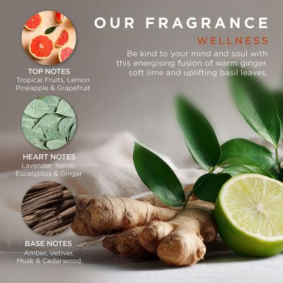 BAYLIS & HARDING Wellness Tin Of Treats Gift Set Kūno priežiūros rinkinys