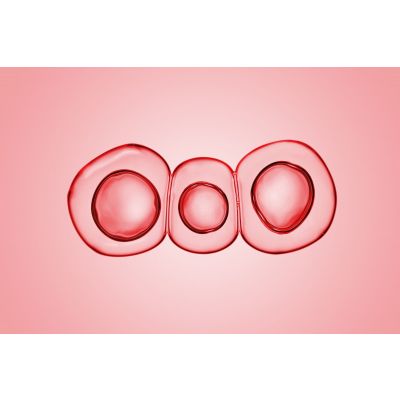 JUVENA Retinol & Hyaluron Cell Fluid Stangrinamoji veido emulsija