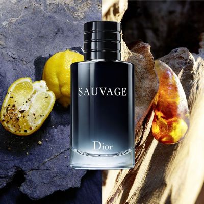 DIOR Sauvage Eau de Toilette Purškiamas tualetinis vanduo