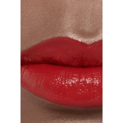 CHANEL Rouge Coco Bloom Drėkinantys ir putlinantys lūpų dažai