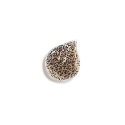 CHANEL Sublimage Les Grains De Vanille Gaivinamasis veido šveitiklis