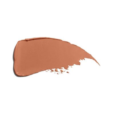 SHISEIDO TECHNOSATIN GEL LIPSTICK Lūpų dažai