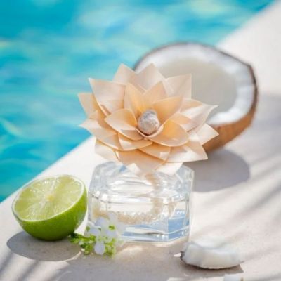 DURANCE SCENTED FLOWER COCONUT WATER Namų kvapas