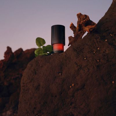 TRUSSARDI Primo Eau de parfum spray