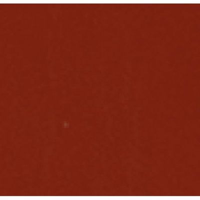 DIEGO DALLA PALMA Warmy Red  Nagų lakas