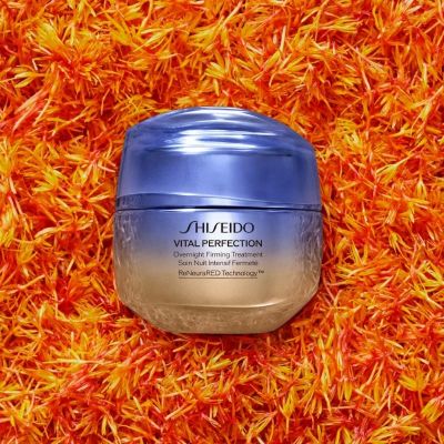 SHISEIDO OVERNIGHT FIRMING TREATMENT Naktinis veido kremas