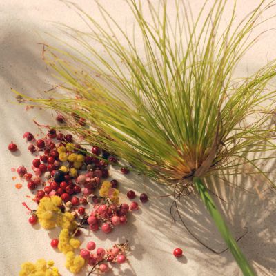 CHLOÉ Nomade Jardin D'Egypte Purškiamas kvapusis vanduo