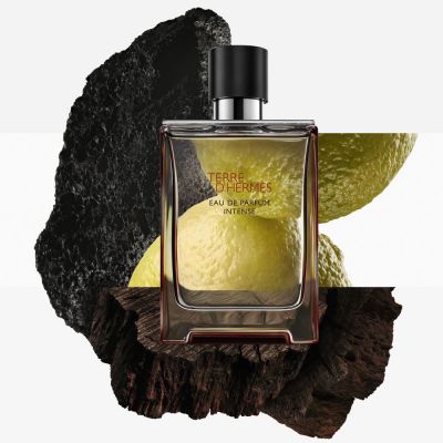 HERMÈS Terre D'Hermès Eau De Parfum Intense Intensyvus purškiamas kvapusis vanduo