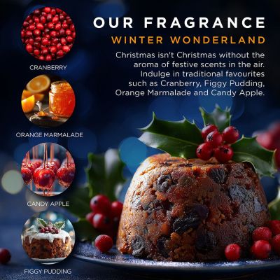 BAYLIS & HARDING The Fuzzy Duck Winter Wonderland Luxury Hand Care Gift Set Rinkinys rankoms