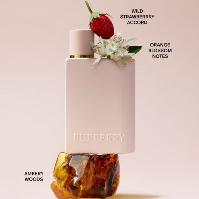 BURBERRY Burberry Her Kvepalai