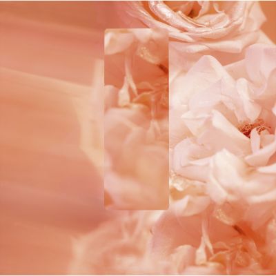 CHANEL Coco Mademoiselle Purškiamas tualetinis vanduo