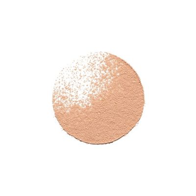 ESTÉE LAUDER Double Wear Sheer Loose Powder Biri pudra