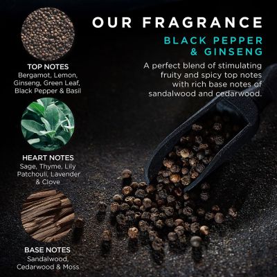 BAYLIS & HARDING Black Pepper & Ginseng Men's The Essentials Travel Wash Bag Gift Set Rinkinys vyrams