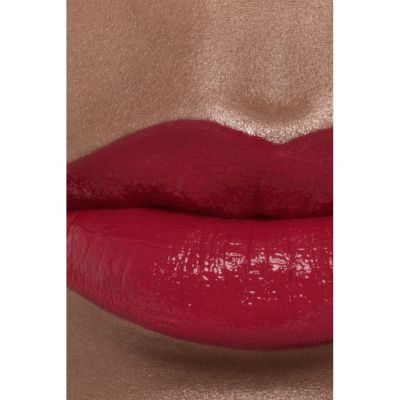 CHANEL Rouge Coco Bloom Drėkinantys ir putlinantys lūpų dažai